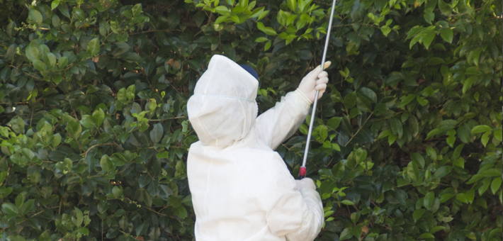 수목치료기술자